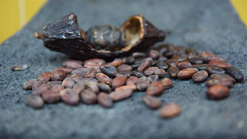 Bonbon Chocolate Making workshop