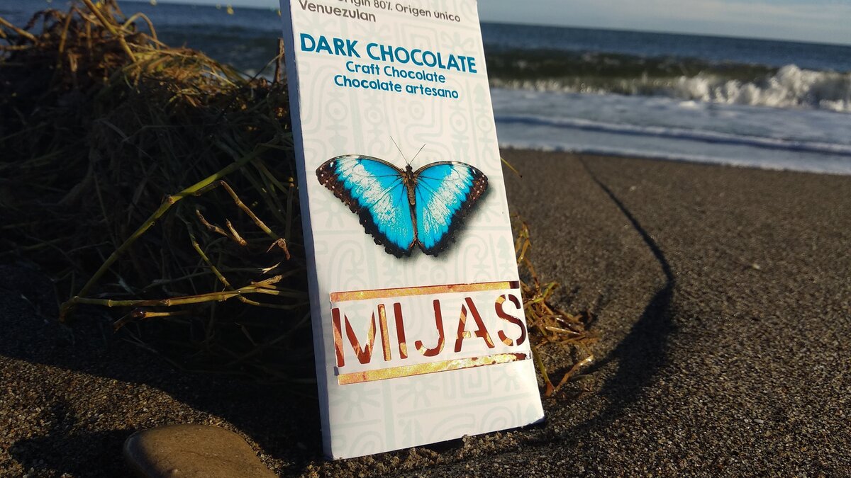 Más Allá de la Playa — Experiencias Únicas en la Costa del Sol